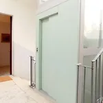 Treehouse باري